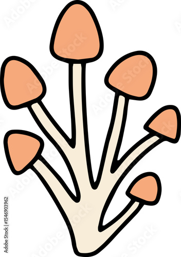 mushroom food fungi food