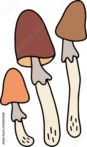 mushroom food fungi food