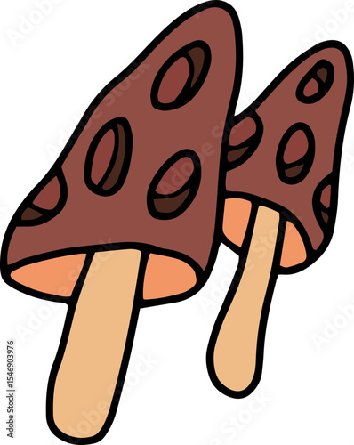 mushroom food fungi food