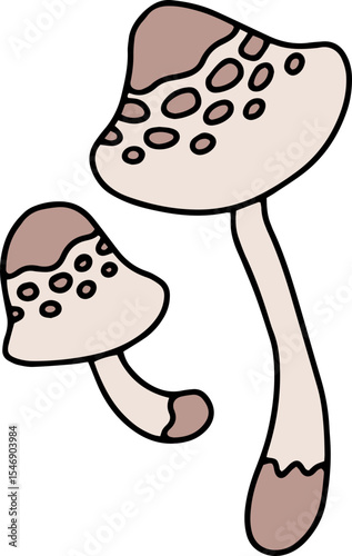 mushroom food fungi food