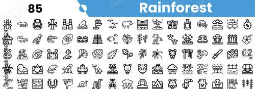 A collection of stylized black and white icons representing various elements of the rainforest environment.
