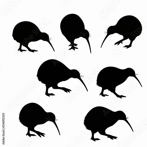Kiwi bird silhouettes in various poses
