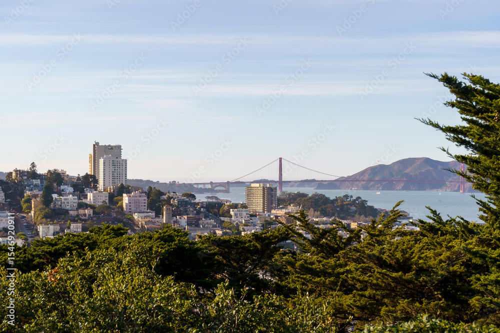 Fototapeta premium San Francisco cityscape and Golden Gate Bridge viewed through greenery.