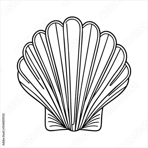 A simple blackandwhite line drawing of a scallop shell