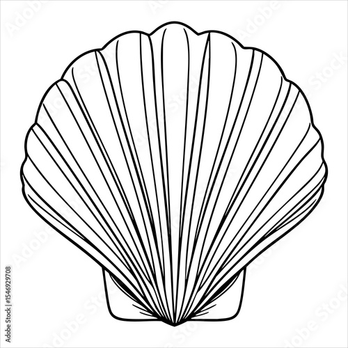 Line art of a scallop shell displaying its fan shape and ridged pattern drawn in stark black outlines on a white background