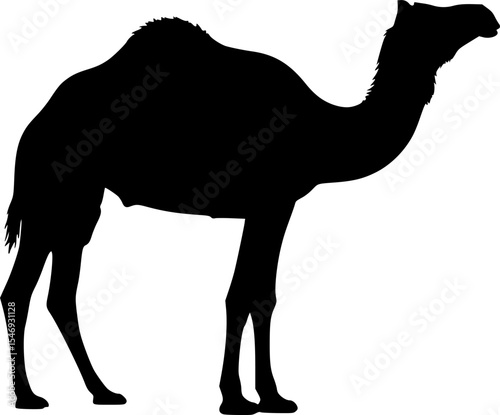 Arabian Camel silhouette Illustration Vector
