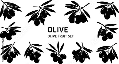 Olive fruit silhouette vector illustration set
