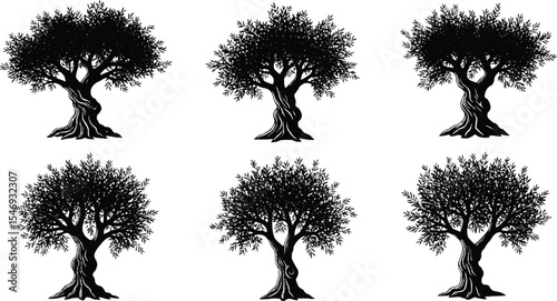 Olive Tree Silhouette Vector Illustration Set
