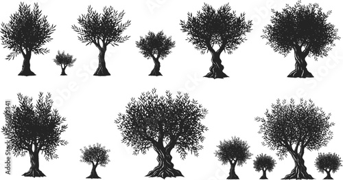 Olive Tree Silhouette Vector Illustration Set
