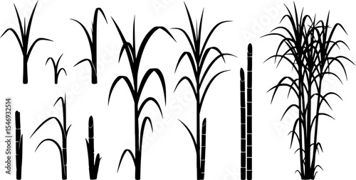 Sugarcane Silhouette Vector Illustration Set
