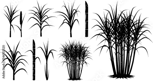 Sugarcane Silhouette Vector Illustration Set
