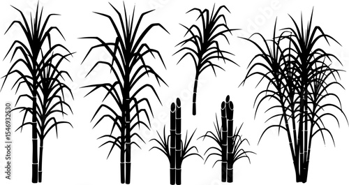 Sugarcane Silhouette Vector Illustration Set
