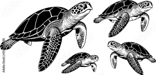 Sea turtle Silhouette Vector Illustration Set

