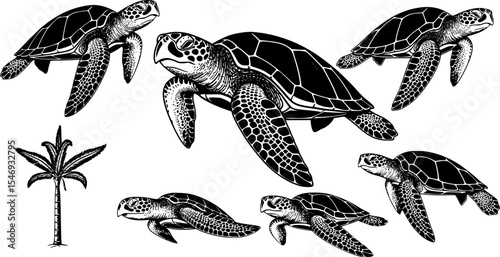 Sea turtle Silhouette Vector Illustration Set
