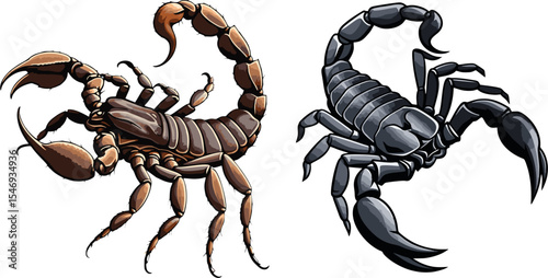 Scorpion vector.eps