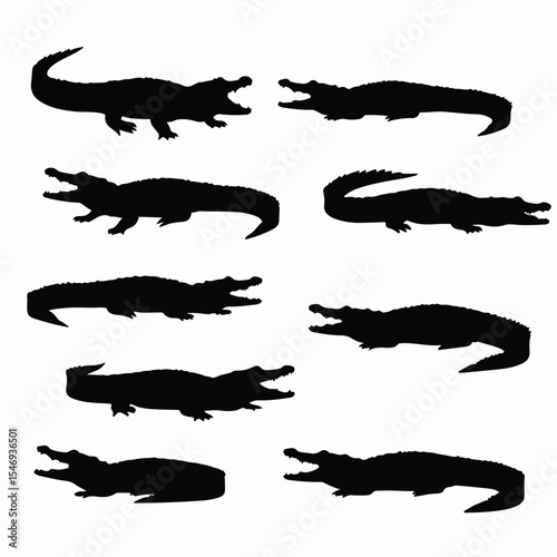 Alligator silhouette collection reptile wildlife animal concept