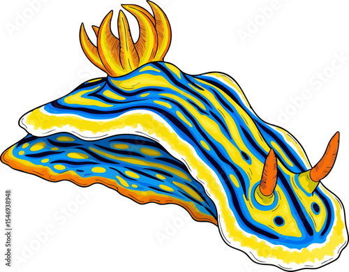Colorful Nudibranch