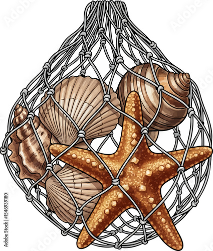 The Fishing Net with Shells
