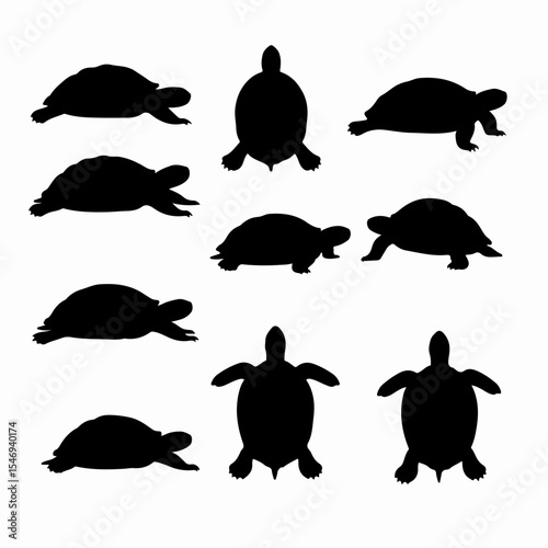 Turtle silhouette set, reptile collection, animal shapes