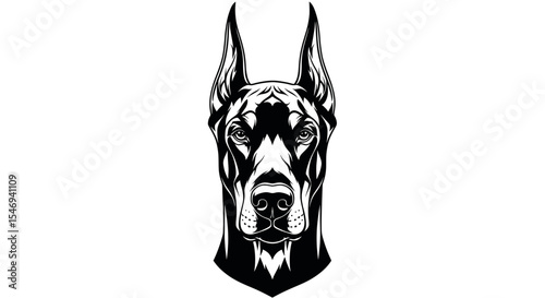 Portrait of a Fierce Doberman Pinscher with Prominent Ears Against a Plain Background