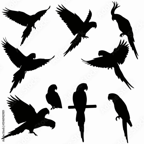 Parrot silhouettes tropical bird aviary fauna