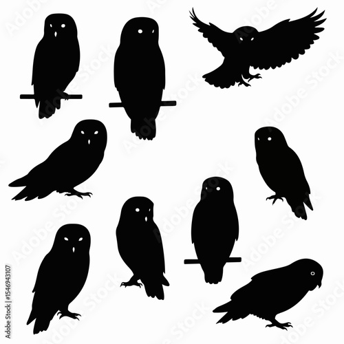 Owl silhouettes collection nocturnal bird set