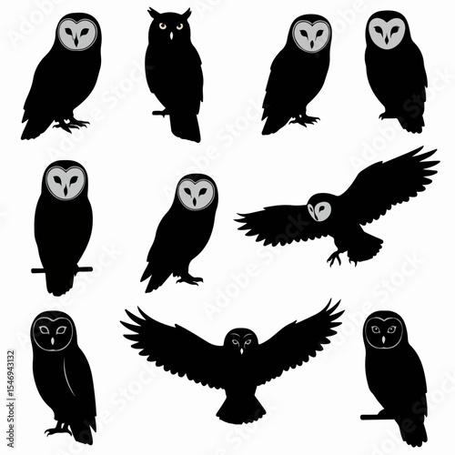 Owl silhouettes collection birds wildlife nocturnal animals
