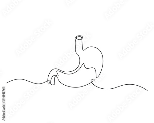 Human stomach organ outline drawing illustration. one continuous line drawing of stomach.