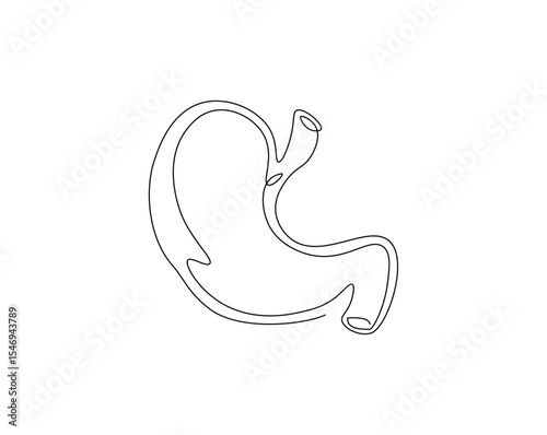Human stomach organ outline drawing illustration. one continuous line drawing of stomach.