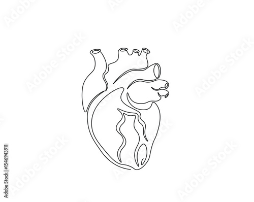 Human heart organ outline drawing illustration. one continuous line drawing of heart.