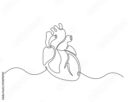 Human heart organ outline drawing illustration. one continuous line drawing of heart.