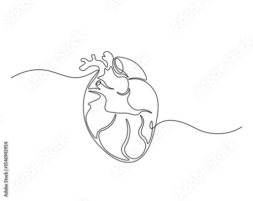 Human heart organ outline drawing illustration. one continuous line drawing of heart.