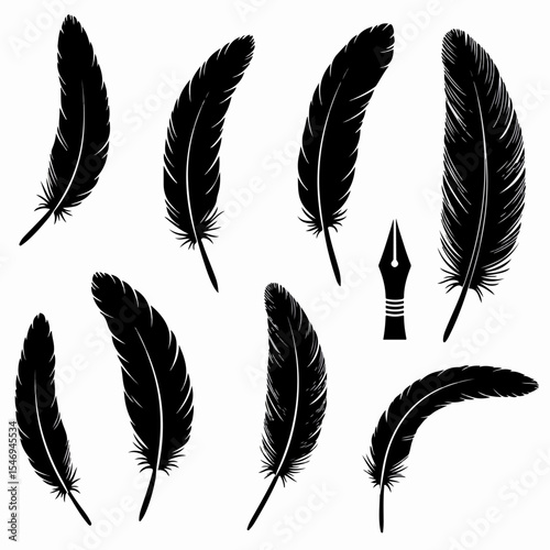 Feathers with ink pen writing element
