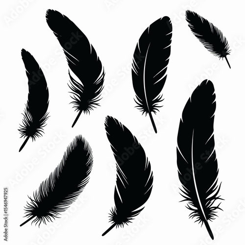 Black feathers collection, natural decoration, monochrome set
