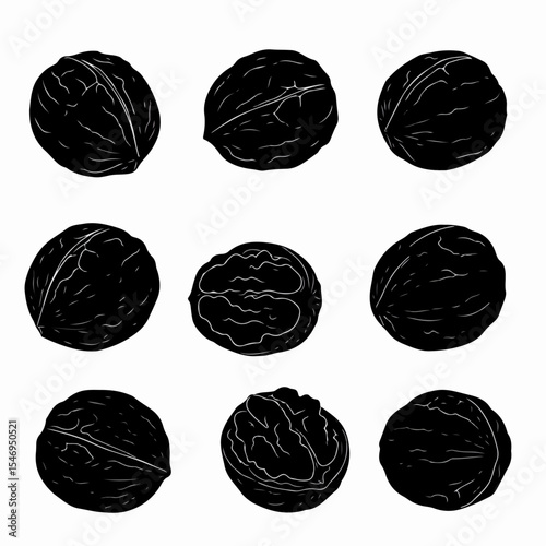 Walnuts collection in monochrome style food ingredient