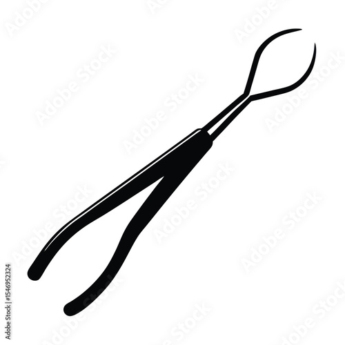 dental hygienist element isolated dental pickup two on white background