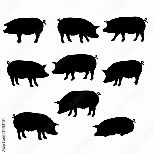 Silhouettes of pigs farm animal set