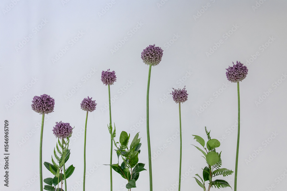 Obraz premium にんにくの花