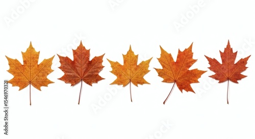 Autumnal Maple Leaf Row: Colorful Fall Foliage