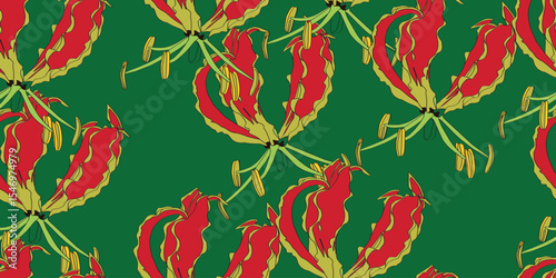 Flame lily or glory lily, stem with tropical red flower, bud and leaf isolated on green background. National flower of Zimbabwe.