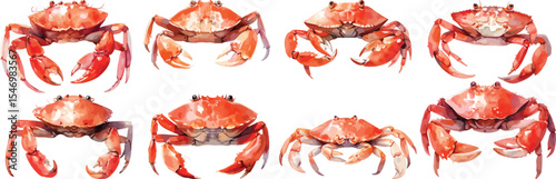 crab watercolor clipart | crab clipart for graphic resources
