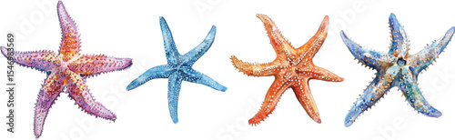 starfish watercolor clipart | starfish clipart for graphic resources