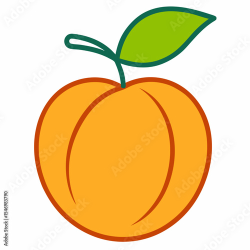 Apricot outline on white background