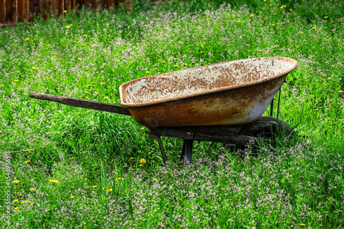 wheelbarrow in the grass