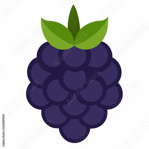 Blackberry: Fresh Fruit

