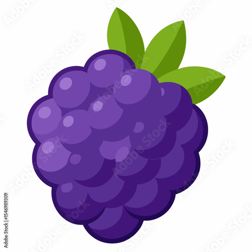 Blackberry: Fresh Fruit

