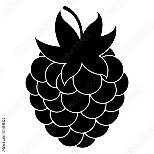 Blackberry outline on white background