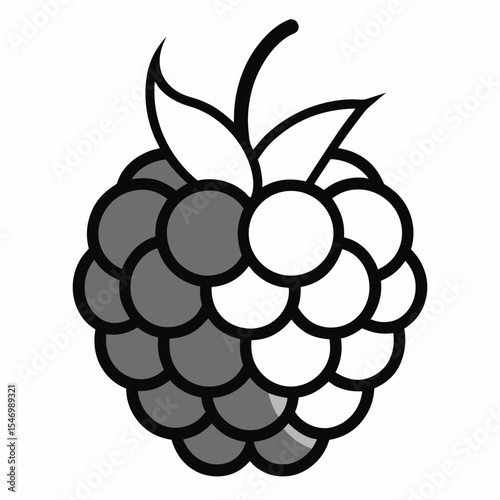 Blackberry outline on white background