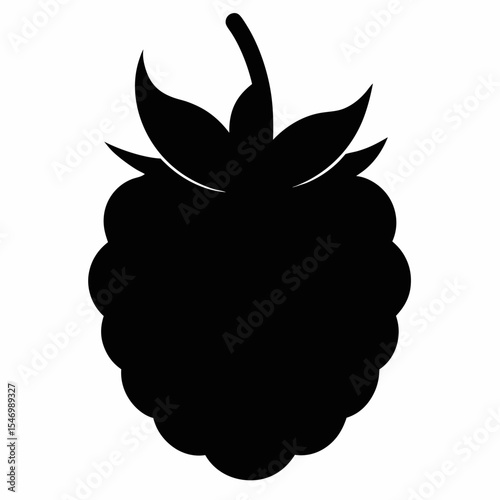 Blackberry silhouette on white background
