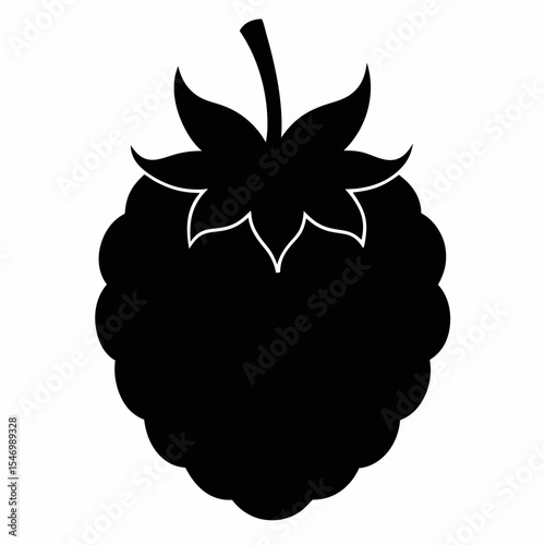 Blackberry silhouette on white background